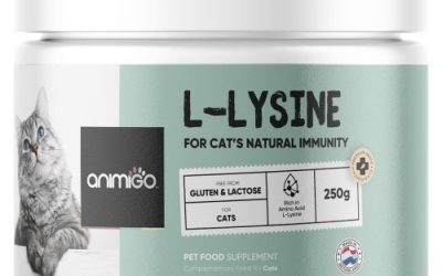Låser op for Vidundere ved L-Lysine. Et Powerhouse Fodertilskud til Katte