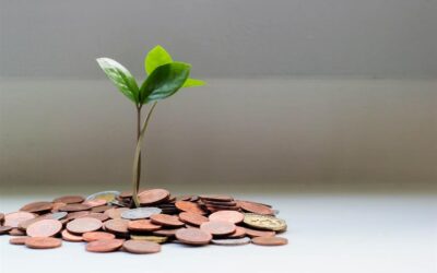 Mestre penge. Vigtigheden af finansiel forståelse