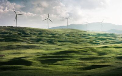 Omfavnelse af bæredygtig livsstil. Nøglen til en sundere planet